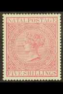NATAL 1874-99 5s Rose, SG 72, Fine Never Hinged Mint, Tiny Natural Intrusion In Gum And Small Corner Wrinkle, Very... - Ohne Zuordnung