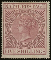 NATAL 1874 5s Maroon, Perf 15½x15, SG 71a, Fine And Fresh Mint. For More Images, Please Visit... - Unclassified