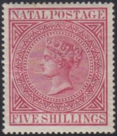 NATAL 1874 5s Carmine, Wmk CC, SG 73, Very Fine And Fresh Mint. For More Images, Please Visit... - Ohne Zuordnung