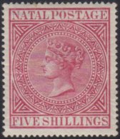 NATAL 1874 5s Carmine, Wmk CC, SG 73, Very Fine And Fresh Mint. For More Images, Please Visit... - Unclassified