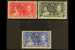 1937 Coronation Set Complete, Perforated "Specimen", SG 90s/92s, Very Fine Mint Part Og. (3 Stamps) For More... - Somaliland (Protectorate ...-1959)