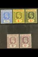 1908-11 Set To 6d With All Paper Varieties, SG 64/67, Very Fine Mint (5 Stamps) For More Images, Please Visit... - Sainte-Hélène