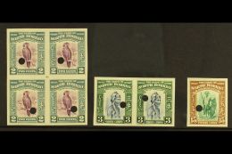 1939 PICTORIALS - IMPERFORATE PROOFS Includes 2c Purple & Greenish Blue Block Of 4, 3c Slate Blue & Green... - Noord Borneo (...-1963)