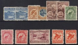 1899-1903 PICTORIAL Perf 11 Fresh Mint Range With 2½d (both Shades), 3d, 4d, 5d (both Shades), 6d Green, 6d... - Other & Unclassified