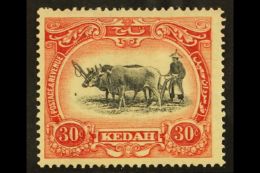 KEDAH 1921 30c Black And Rose, Type II, SG 34b, Very Fine And Fresh Mint. For More Images, Please Visit... - Sonstige & Ohne Zuordnung