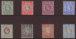 1903-04 Definitive Set, SG 1/8, Very Fine Mint (8 Stamps) For More Images, Please Visit... - Vide