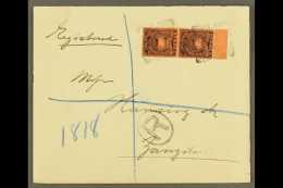 1895 (25 Dec) Env Registered To Zanzibar Bearing A  PAIR Of The 3a Black On Dull Red Stamps With Handstamped... - Vide