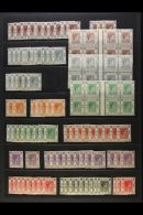 1938 -1952 GEO VI FRESH MINT SELECTION Very Fine Mint (mostly Lightly Hinged) Selection On Show Cards With Values... - Other & Unclassified