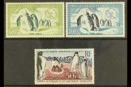 TAAF 1956-59 Air 50fr And 100fr Penguins Plus 1963 50fr Penguins, Yv 2, 3 And 5, Mint. (3 Stamps)  For More... - Sonstige & Ohne Zuordnung