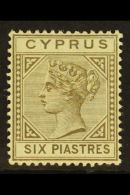 1892-94 6pi Olive-grey, Die II, SG 36, Fine Mint. For More Images, Please Visit... - Autres & Non Classés