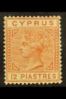 1882-86 12pi Orange-brown, Die I, SG 22, Fine Mint. For More Images, Please Visit... - Andere & Zonder Classificatie