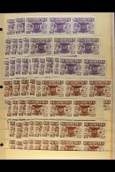 EXILE ISSUES 1949 UNIVERSAL POSTAL UNION Never Hinged Mint Accumulation Of The 10k Olive-green, 10k Blue, 10k... - Croatia