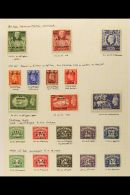 ERITREA 1948-51 COMPLETE FINE MINT COLLECTION. Includes 1948-49 Complete Set, 1950 British Administration Complete... - Afrique Orientale Italienne