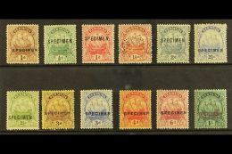 1922 Caravel Set, Wmk Script, Overprinted Or Perforated "Specimen", SG 77s/87s, Very Fine Mint. Rare Set. (12... - Bermudes