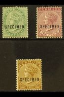 1883-1904 ½d Green, 2d Aniline Purple And 1s Yellow Brown Overprinted "Specimen", SG 21s, 26s, 29s, Very... - Bermudes