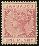 1882 1d Rose, Sideface, SG 91, Very Fine Mint. For More Images, Please Visit... - Barbades (...-1966)