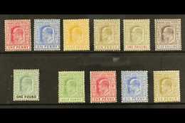 1902-1911 KEVII COMPLETE VERY FINE MINT With 1902-10 Watermark Crown CA Set Of 7 (SG 62/70), Plus 1906-11... - Other & Unclassified