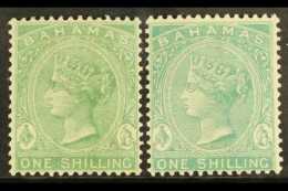 1882 1s Green And 1s Blue Green, Wmk CA, Perf 14. SG 44.44a, Very Fine Mint. (2 Stamps) For More Images, Please... - Andere & Zonder Classificatie