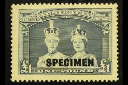 1938 £1 Bluish Slate "Robes" Overprinted "SPECIMEN", SG 178s, Never Hinged Mint. Scarce! For More Images,... - Sonstige & Ohne Zuordnung
