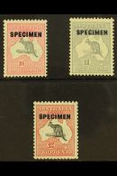 1931-36 10s, £1, And £2 Kangaroo Set With "SPECIMEN" Overprints, SG 136s/138s, Superb Never Hinged... - Other & Unclassified