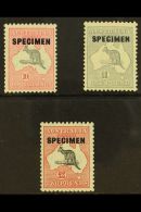 1931-36 10s, £1, And £2 Kangaroo Set With "SPECIMEN" Overprints, SG 136s/138s, Superb Never Hinged... - Altri & Non Classificati