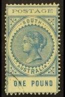 SOUTH AUSTRALIA 1902-04 £1 Blue, SG 279, Very Fine Used. For More Images, Please Visit... - Autres & Non Classés