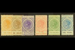 SOUTH AUSTRALIA 1902-04 10d To £1 'tall' Perf 11½-12 Values Complete, SG 274-279, Very Fine Mint (6... - Andere & Zonder Classificatie