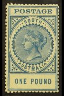SOUTH AUSTRALIA 1904-11 £1 Blue Perf 12½ (small Holes), SG 292a, Very Fine Mint. For More Images,... - Andere & Zonder Classificatie