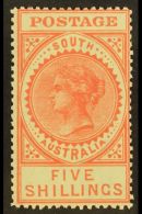 SOUTH AUSTRALIA 1904-11 Pale Rose Perf 12½ (small Holes), SG 290b, Very Fine Mint. For More Images, Please... - Sonstige & Ohne Zuordnung