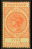 SOUTH AUSTRALIA 1904-11 Pale Rose Perf 12½ (small Holes), SG 290b, Very Fine Mint. For More Images, Please... - Other & Unclassified