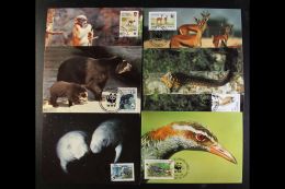 ANIMAL STAMPS ON MATCHING MAXI CARDS. A Beautiful Collection Of Picture Post Cards Of Animals (Birds, Fish,... - Non Classés