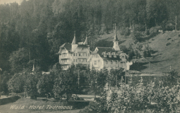 DE TODTMOOS / Wald Hotel / - Todtmoos