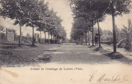 Visé - Avenue De L'ermitage De Lorette (animée, Précurseur, 1901) - Visé