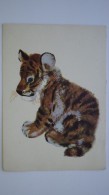Painter Charushin - Siberian Tiger Cub - OLD  Postcard 1963 - Tigres