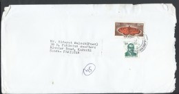 India Airmail 2001 Dr. B R Ambedkar, 2000 Butterfly 15.00 Rps, India Article Postal History Cover Sent To Pakistan - Corréo Aéreo