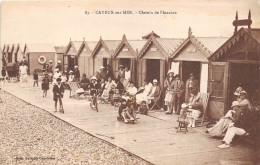 80-CAYEUX-SUR-MER- CHEMIN DES PLANCHES - Cayeux Sur Mer