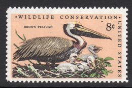 Brown Pelican Mnh Stamp - Pélicans