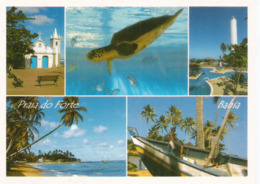 Plage Praia Do Forte (Mata De São João) Bahia, Une Carte Postale Neuve, Non Circulée - Salvador De Bahia