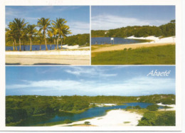 Lagoa Do Abaeté (Arbres De Noix De Coco Au Bord De L'étang),Bahia, Une Carte Postale Neuve, Non Circulée - Salvador De Bahia