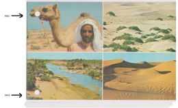 SAUDI ARABI  - THE RARE BEDOUIN WITH HIS ENCHANTING LAND-SCAPES  ( 716 ) - Arabie Saoudite