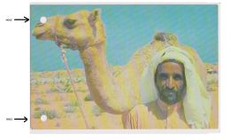 SAUDI ARABI - A BEDOUIN WITH HIS CAMEL - PHOTO BASEM SAID SALAH -  ( 679 ) - Arabie Saoudite