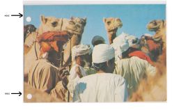 SAUDI ARABI - THE CAMEL MARKET - PHOTO BASEM SAID SALAH - RED POSTMARK ( 682 ) - Saudi Arabia