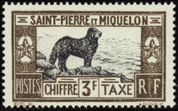 N°21 /31 Chien De Terre-Neuve 11 Valeurs   Qualité:** Cote:367€ - Other & Unclassified