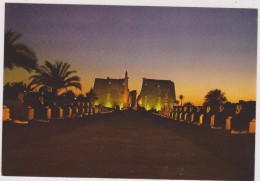 EGYPTE,EGYPT,LUXOR,LOUXOR,TEMPLE,NUIT,KARNAK - Sonstige & Ohne Zuordnung