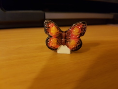 Fève - Papillon Formose - Animaux