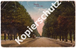 Danzig, Große Allee  1918  (z3271) - Danzig