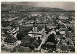 Wintzenheim -  L'Eglise St Laurent Et La Mairie  -  Vue Aérienne .... Année 1957 - Wintzenheim