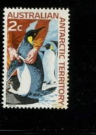 AUSTRALIAN ANTARCTIC TERRITORY 1966 - 1968  POSTFRIS MINT YVERT 9 - Unused Stamps
