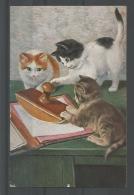 Katten Schrijfblok -  Chats Au Bureau - Writing Cats - Katten