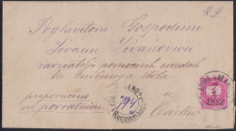 Slatina U Slavonii, Registered Cover, 10 Kr. Stamp Damaged While Opening Cover , Mailed In 1882 - Lettres & Documents